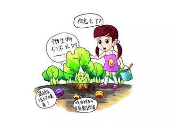 农田土壤修复,看这一篇就够啦