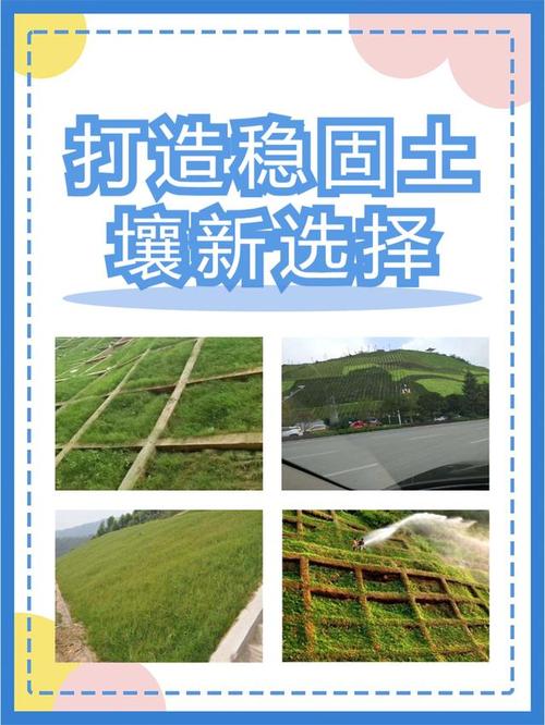 生态修复技术 草种肥料保水剂与土壤的高压喷射耦合应用