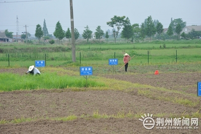 唤醒大地良医 记者深入探访我市国家土壤污染治理与修复项目见证生态蝶变