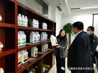 保定市市长郭建英一行领导莅临冀微生物调研土壤生态修复工作